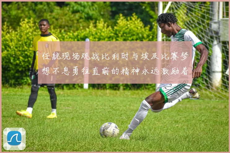 任航现场观战比利时与埃及比赛梦想不息勇往直前的精神永远激励着我们